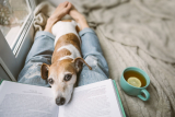 Best Books for Dog Lovers to Read in the New Year – Dogster