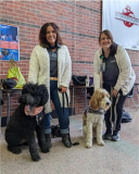 Therapy Dogs Help a Community Heal After School Tragedy – Dogster