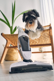 What is the Best Vacuum for Dog Hair? – Dogster