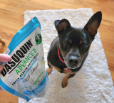 What Should You Know About Glucosamine for Dogs – Dogster