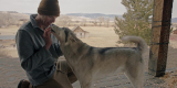 New Movie Features Rescued Siberian Husky – Dogster