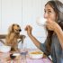 How to Choose the Best Vegan Dog Food – Dogster